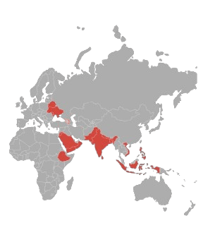 countries we work adaptive